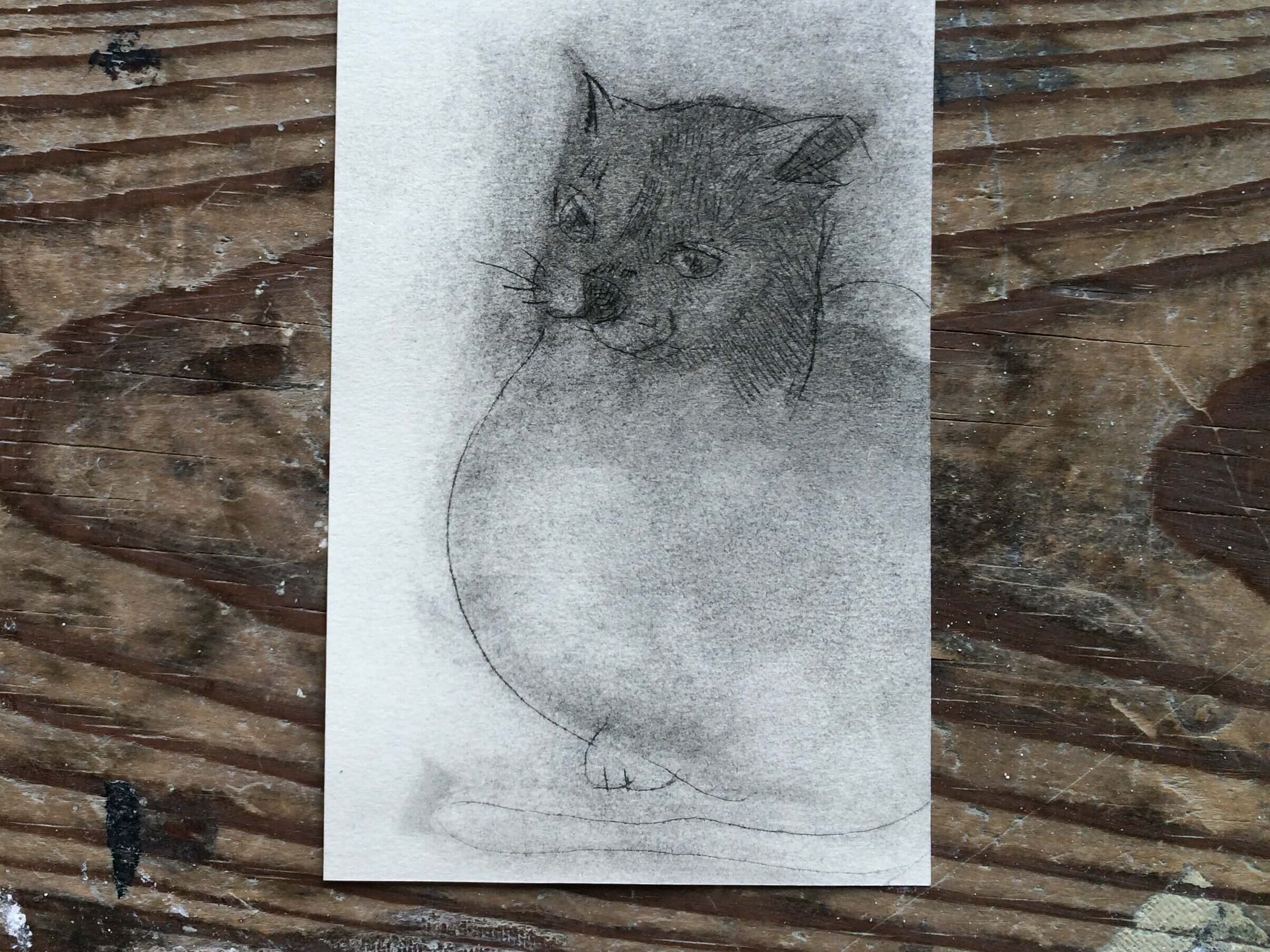 質感を描き分けるデッサン習作